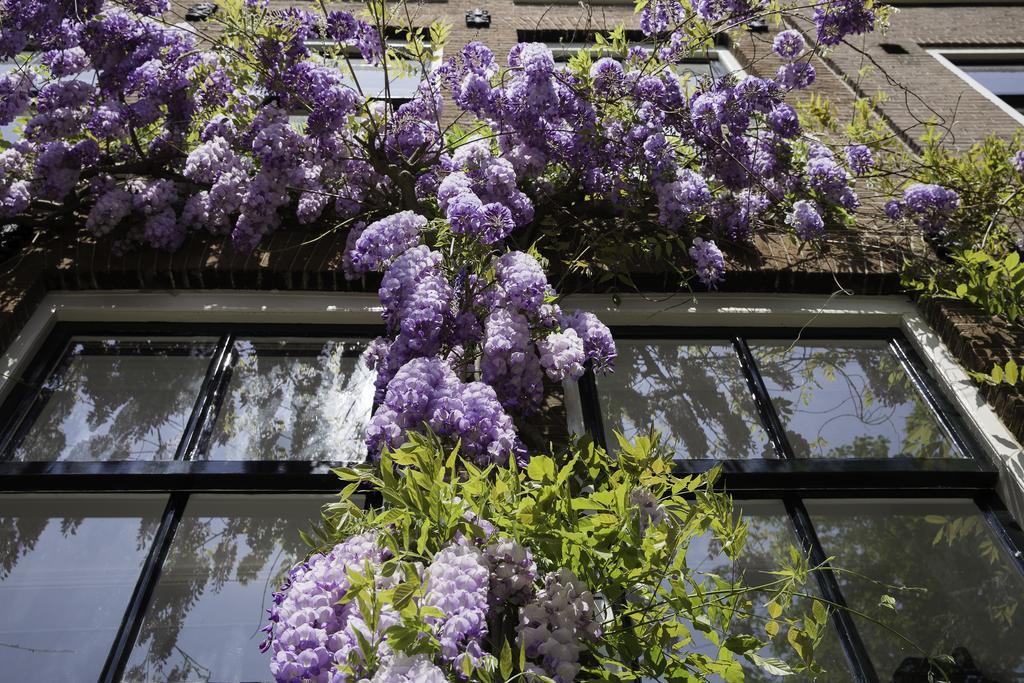 B&B Bloemgracht Amsterdam Exterior foto